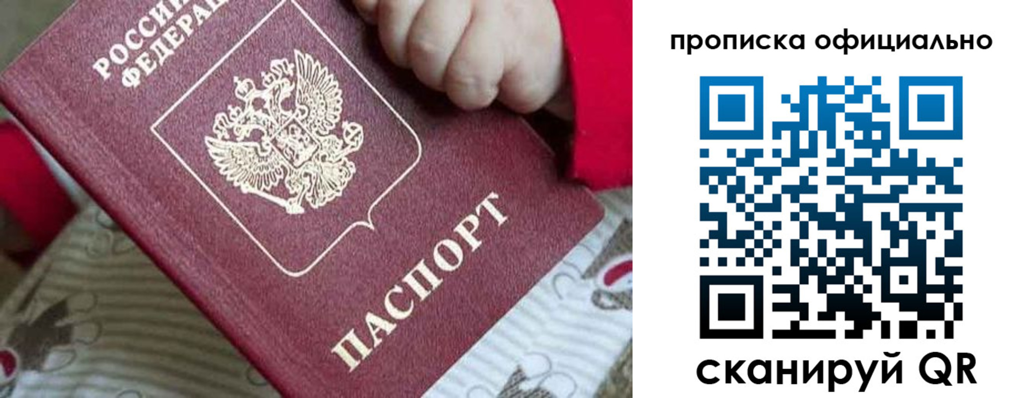 временная регистрация поиск в Александрове