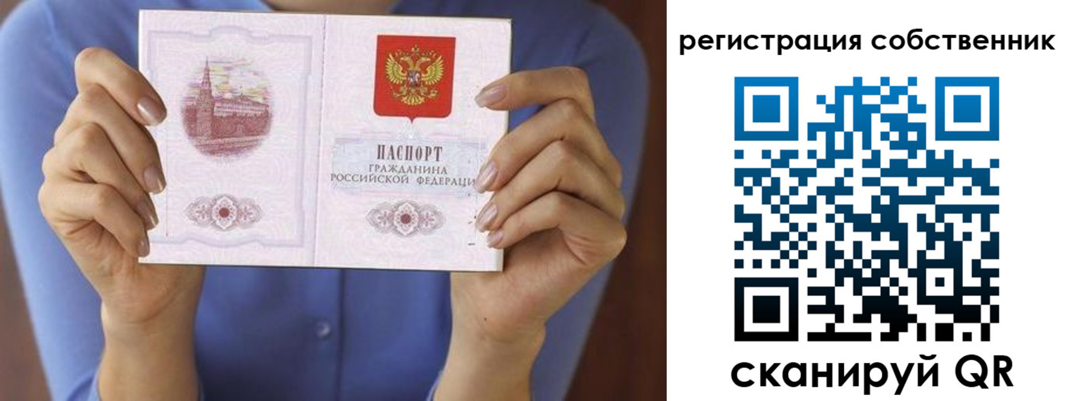 временная регистрация гарантия в Александрове